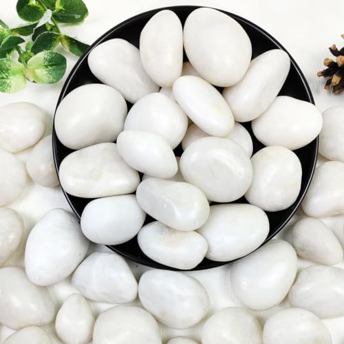 10lbs White River Rocks, 1-2 Inch Natural Pebbles for Indoor Plants, High Polished Decorative Stones Vase Filler Fish Tank Aquariums Landscaping Garden Outdoor and Indoor DIY - color: White, size: 10 Pounds
