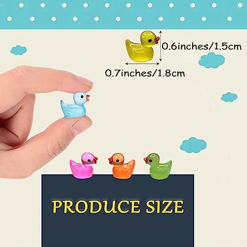 Cidinge 220 Pcs Mini Resin Ducks Luminous Tiny Ducks Miniature Duck Glow in The Dark for DIY Garden Dollhouse Duck Accessories Micro Landscape Aquarium Party Decor - style: Resin Luminous Ducks