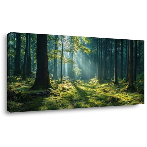 Palderwallart Beautiful Forest Landscape Wall Art for Living Room Office Tree Nature Scenery Green Painting Prints Summer Sunrise Scenic Canvas Artwork Over the Couch Dining (20x40 Inches) - color: Green Forest Wall Art (Y859), size: 40"L x 20"W