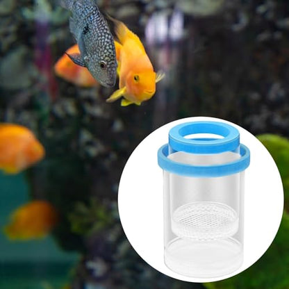 Fish Hatchery, Fish Isolation Box, Separation, Blue - color: Blue