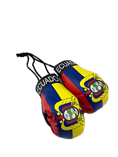 Hanging Car Mirror Mini Boxing Gloves (Ecuador) - color: Ecuador