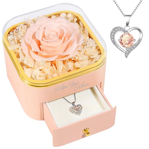 Beferr Mothers Day Forever Rose with Necklace for Mom Birthday Gifts Preserved Roses Eternal Flower for Delivery Fresh Flowers Gifts for Mother Wife Her Grandma Sister Daughter Girls Friends - color: B Champagne