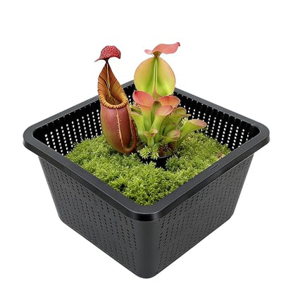 8 Pcs 9 Inch Pond Plant Baskets for Plants Hydroponics Net Pots Water Garden Plant Pots Black Plastic Pond Basket Square Plastic Mesh Pond Containers for Live Aquarium Plants - style: 9" Square-8 PCS