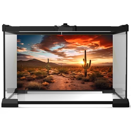 3 Pack Reptile Habitat Background Sunset Desert Terrarium Background Jungle Forest Terrarium Background Gobi Sunshine Cactus Stone Tank Terrarium Background Rainforest Reptile Background 36x18in