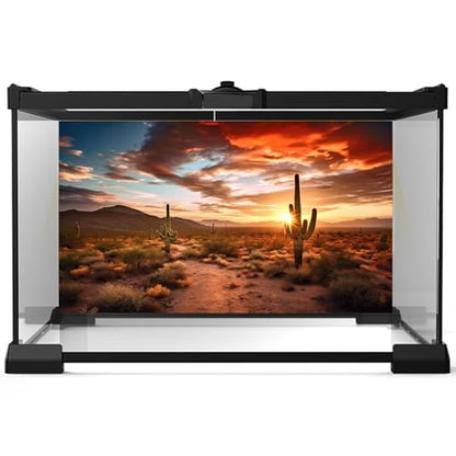 3 Pack Reptile Habitat Background Sunset Desert Terrarium Background Jungle Forest Terrarium Background Gobi Sunshine Cactus Stone Tank Terrarium Background Rainforest Reptile Background 36x18in
