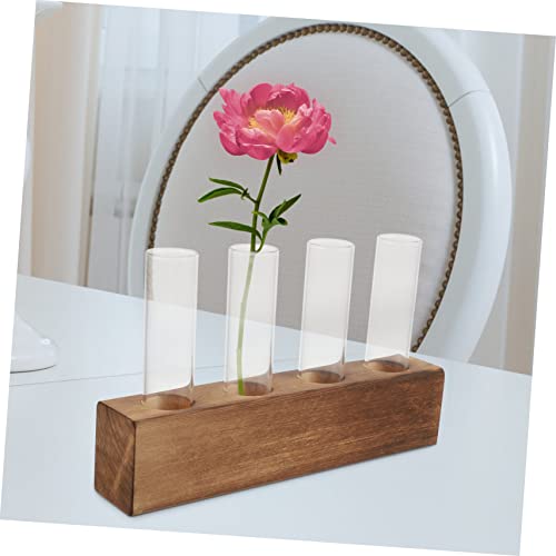 Abaodam Glass Flower Tubes Cleaning Brush Plant Terrarium Air Plant Holder for Home Decor