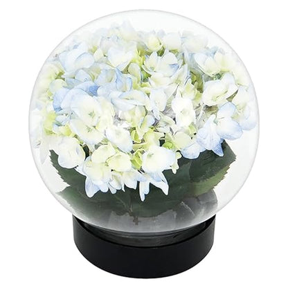 Achla Designs Flower Aquariums Glass Vase Set – Pack of 6 Glass Orb Flower Display Vases with Floral Frog Bases, Water Filled Flower Magnifier Centerpieces for Home or Events