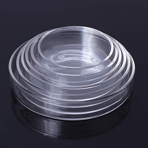 Shrimp Feeder Dish Glass Feeding Tray Aquarium Fish For Tank Reptiles Round Bowl 3.9in 3.5in 3.2in 3.0in 2.6in 2.4i Fish Tank Supplies Shrimp Feeder Tube Shrimp Feeder Dish Shrimp Feeder Dish And
