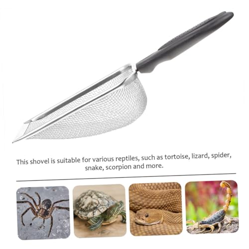 TOYANDONA 2pcs Portable Stainless Steel Reptile Shovels for Easy Substrate Cleanup Durable Household Scoopers for Tortoise Lizard and Scorpion Care
