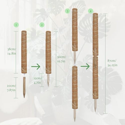 Moss Pole for Plants 4 Pack Natural Coco Coir Climbing Support Stakes with Plant Ties Indoor Monstera Plant Training Extension Poles 14.8inch Each Total 59.2inch - size: 38cm