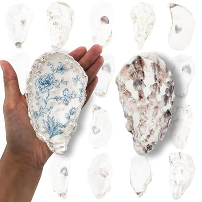 20PCS 4"-5" Large Oyster Shells for Crafts, Concave Shells, Premium Natural Seashells, Cleaned & Odorless Craft Oyster Shells for Painting, DIY, Wedding Decor, Decoupage, Art Projects - size: Large 4"-5" 20pcs