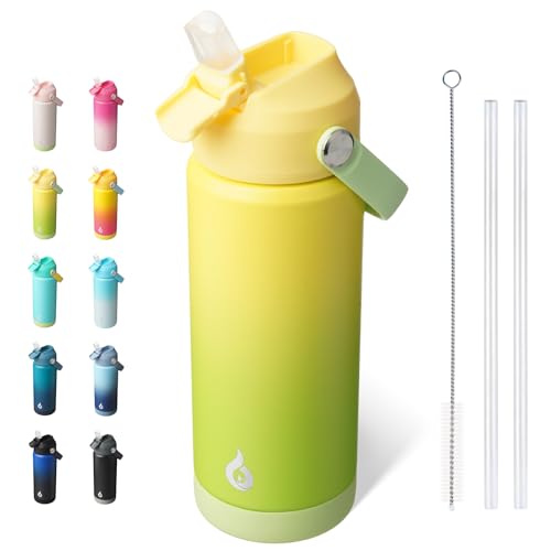 BJPKPK 18oz Insulated Water Bottle, Stainless Steel Bottle with Straw Lid - color: Fresh Green, size: 18 Ounces
