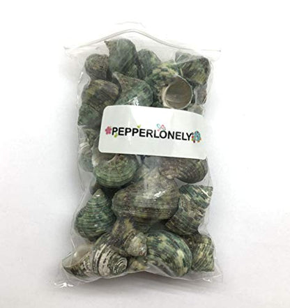 PEPPERLONELY Silver Mouth Green Turbo Hermit Crab Sea Shells, 8 OZ Apprx. 4/3 Inch ~ 1-4/3 Inch - color: 15#. Green, 3/4" ~ 2"