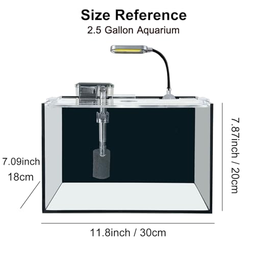 2.5 Gallon Fish Tank Starter Kits, with Led Light, Filter Pump, Cover, Small Fish Tank Betta Aquarium (30x18x20CM) - size: 2.5 Gallon