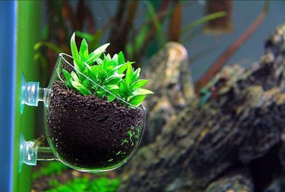 Tfwadmx Plant Pot Aquarium Decor Aquatic Plant Cup with 2 Suction Cup for Fish Tank Aquarium Aquascape(2 Pack)