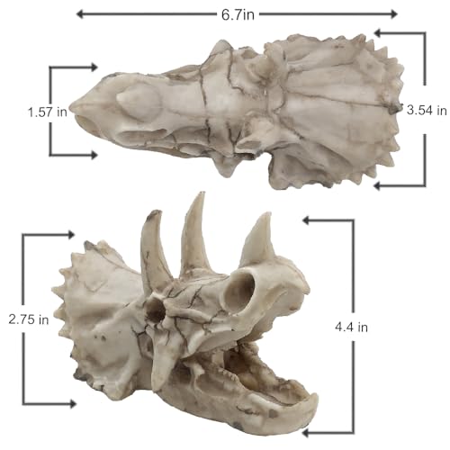 Dinosaur Skull Aquarium Decoration,Fish Tank Décor, 6.7"x3.5"x4.4" | Hideaway for Fish, Natural Look, Fun Underwater Environment - size: 6.7"