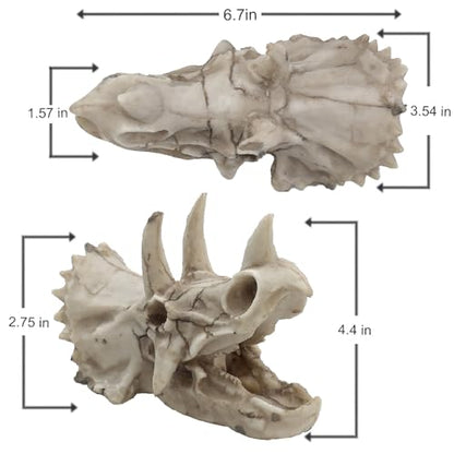 Dinosaur Skull Aquarium Decoration,Fish Tank Décor, 6.7"x3.5"x4.4" | Hideaway for Fish, Natural Look, Fun Underwater Environment - size: 6.7"