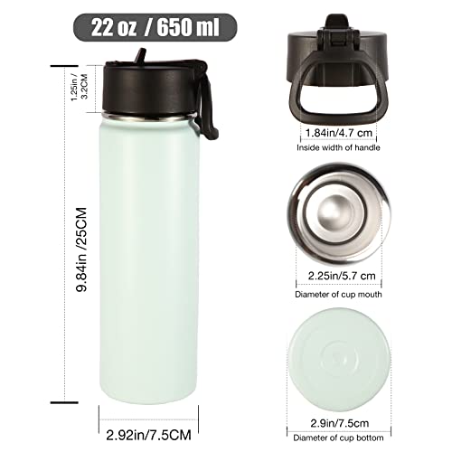 Volhoply Insulated Water Bottles with Straw Bulk 4 Pack, 22 oz Stainless Steel Sports Bottle with Handle Lid,Metal Double Wall Travel Water Cups with Wide Mouth,Reusable Cold Water Flask(Fog,4 Set) - color: Fog