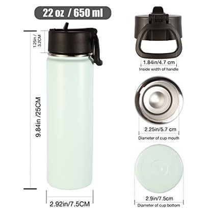 Volhoply Insulated Water Bottles with Straw Bulk 4 Pack, 22 oz Stainless Steel Sports Bottle with Handle Lid,Metal Double Wall Travel Water Cups with Wide Mouth,Reusable Cold Water Flask(Fog,4 Set) - color: Fog
