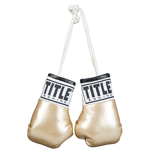 TITLE Boxing 3.5” Mini Boxing Gloves: Keyrings, Mini Boxing Gloves, Boxing Novelty Items, Boxing Gear - color: Gold