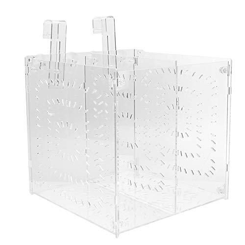 Acrylic Fish Breeding Box 20x20x20cm Mesh Rearing Trap for Baby Shrimp Clownfish Guppy, Isolation Board Prevents Adult Attack, Adjustable Suction Cup Fixation for Aquarium Hatchery (20MC - size: 20MC *20CM*20CM