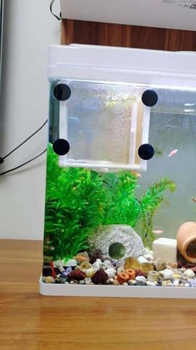 Fish Nursery for Aquarium-Fish，Aquarium Fish Breeder Box, Hatching Box, Juvenile Fish Spawning Incubator, Water Isolation Net Hatchery、Fish Isolation Box 16 x 14 x 15cm - color: square