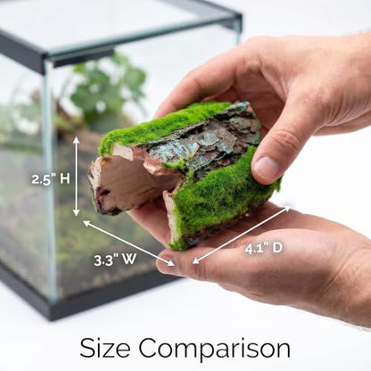 Reptile Hideout & Aquarium Cave Decor, Resin Hollow Log Hide for Fish Tank, Shrimp Turtle Lizard Betta Hiding Spot, Aquarium Ornament with Moss Look, 2.5"-4.1"
