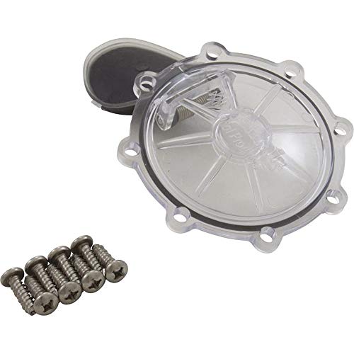 Pentair Rebuild Kit, Check Valve, CPVC 2"