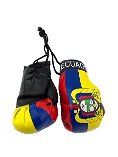 Hanging Car Mirror Mini Boxing Gloves (Ecuador) - color: Ecuador