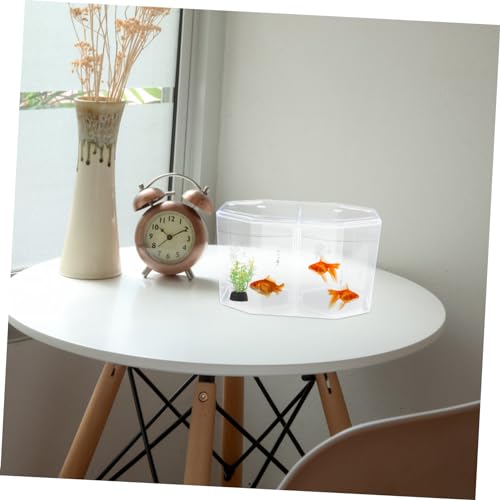 GALPADA Fish Breeding Tank with Divider Isolation Box for Betta Guppy Shrimp and Clownfish Easy to Clean and Store Design for Spawning and Nursing