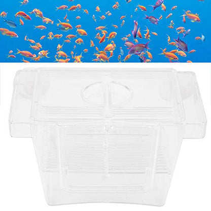 Split Fish Betta 5 Gallon Fish 14 X 8 X 8 Acrylic Aquarium Fish Breeding Box Incubation Box Small Size