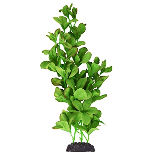 Underwater Treasures Silk Bacopa Monnieri - 12"