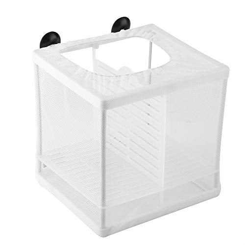 Fish Breeder, Large Breeder Net with Suction Cups, Nylon Mesh Fish Fry Hatchery Isolation Box Separation Net for Fish, Plants, Shrimp on Aquarium Tank, 6.2 x 6.2 x 5.5in