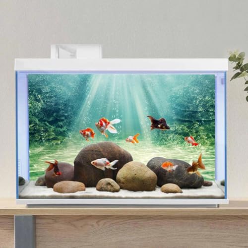 72x24 inches Aquarium Backdrop Underwater Ocean Floor Fish Tank Background | AWERT Aquatic Plant Bubble Terrarium Background - size: 72x24in/180x60cm