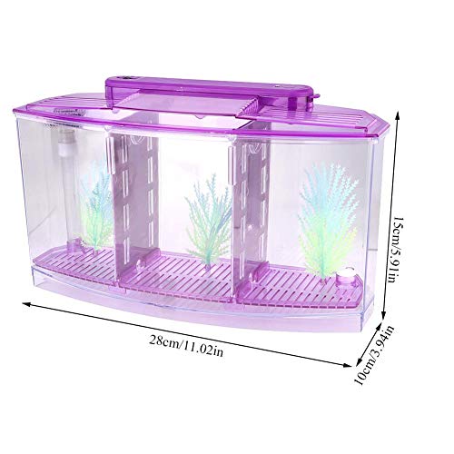 Mini Fish Breeding Box, Clear Acrylic LED Isolation Hatchery Tank for Desktop Aquarium Purple 11 x 3.9 x 5.9 in 3 Compartments 1 Filter Bubble Head