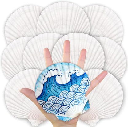 10PCS Natural Scallop Shells for Crafts, 4-5 in White Sea Shells, DIY Decor | Smooth, cleaned surfaces suit painting, resin art, candle making, baking displays, weddings, classrooms and ocean parties. - size: 10PCS (4-5in)