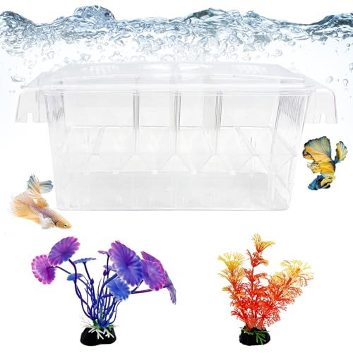 Tfwadmx Fish Breeding Box - 4 Rooms HD Aquarium Breeder with Suction Cups, Baby Hatchery Acrylic Incubator Isolation Box, Artificial Plant for Guppy Hatchery - size: 4 Rooms