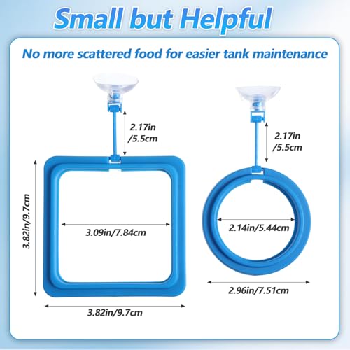 4 Pcs Fish Feeding Ring for Aquarium, Square and Round Floating Aquarium Food Feeder for Betta and Goldfish Turtle & Small Fishes, Fish Tank Accessories for Efficient Feeding Management
