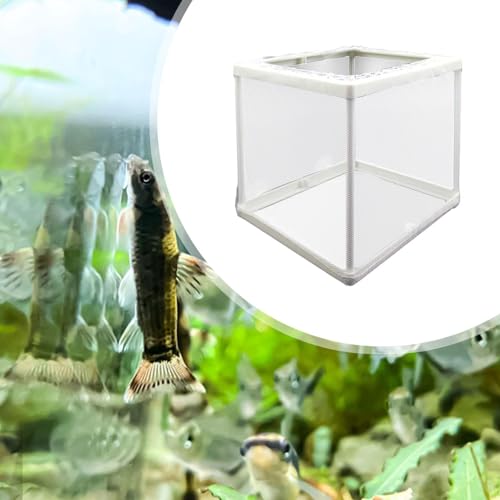 2X Aquarium Net Breeding Net Hatching Mesh Aquarium Box Feeding Container Clown