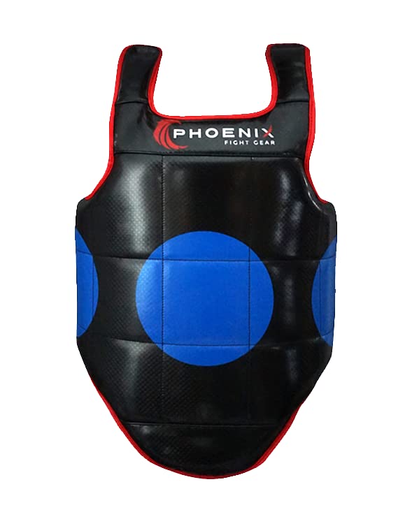 Kids Champion Reversible Chest Protector Gear for Boxing, Sparring. Karate, Muay Thai and Taekwondo, MMA Gear, Youth Body Shield Protective Gear, Martial Arts Training Equipment - size: X-Small