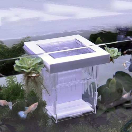 Isolation Box, Breeder Box for Fish Tank Isolation Aquarium Separator Floating Hatchery Incubator for Aggressive or Injured Fish(White-Style D) - style: white-Style D