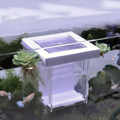 Isolation Box, Breeder Box for Fish Tank Isolation Aquarium Separator Floating Hatchery Incubator for Aggressive or Injured Fish(White-Style D) - style: white-Style D