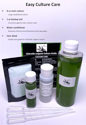 Complete Green Water (Chlorella vulgaris) Culture and Expansion Kit: One 8 oz Working Container, One 1 oz Backup Container, Harvesting Tools, and Tap Water Conditioner - Live phytoplankton