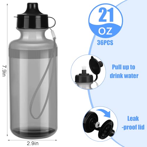 Zubebe 36 Pcs Sports Water Bottles Bulk Squeeze Reusable Bpa-free Plastic Water Bottles End of the Year Gifts Summer Gifts for Students School Travel Hiking Cycling Event Team Gift - color: Clear Gray