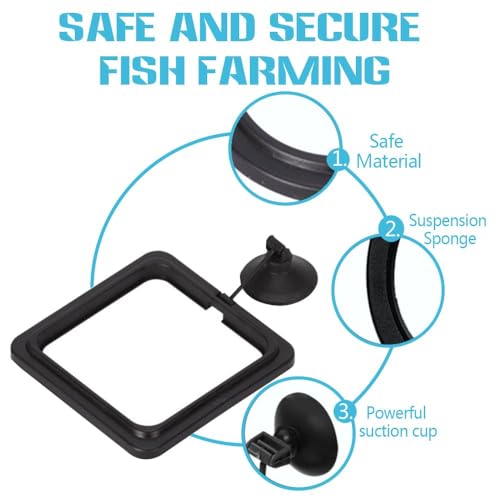 Fish Feeding Ring, Fish Safe Floating Food Feeder Circle Blue, with Suction Cup Aquarium, Square and Round Shape Fish Tank Towels - for Guppy, Betta, Goldfish, Etc (1 Square) - color: Black Square