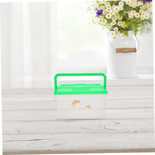 LIOOBO 4Pcs Mini Handheld Fish Tank Portable Pet Carrier with Stable Base Transparent Plastic Aquarium Box for Small Fish Turtles Reptiles Hamsters Versatile Use with Vibrant Lid