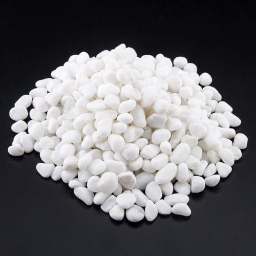 1 Lb/460g White Stones Decorative Pebble Rock Sand for Aquarium/Fish Turtle Tank/Vase Filler/Succulent Plants Decoration (Fill 1 Cup) - color: White, size: 1 Pound
