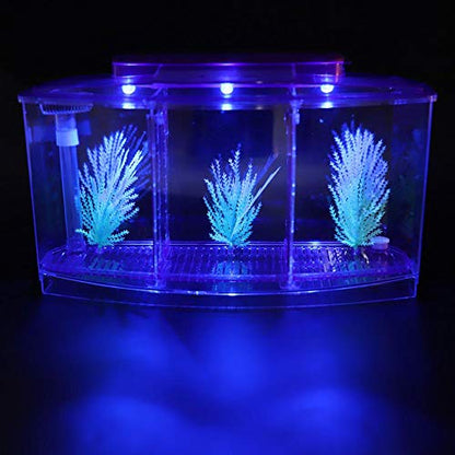 Mini Fish Breeding Box, Clear Acrylic LED Isolation Hatchery Tank for Desktop Aquarium Purple 11 x 3.9 x 5.9 in 3 Compartments 1 Filter Bubble Head