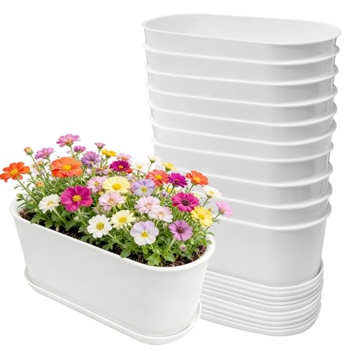 10-Pack White Herb Planter Box with Drip Trays, 8.5 Inch Small Oval Window Planters for Kitchen Sill, Indoor Outdoor, Perfect for Basil, Mint, Succulents, Flowers - size: 10 Pack