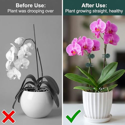 80 Pcs Standard Orchid Clips Plant Clips Flower Vine Dark Green | for Support Small Plant, Orchid Support Clip, for Climbing Plants, Garden Stem, Grow Upright